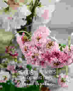 Flower styling 初花月春の花
