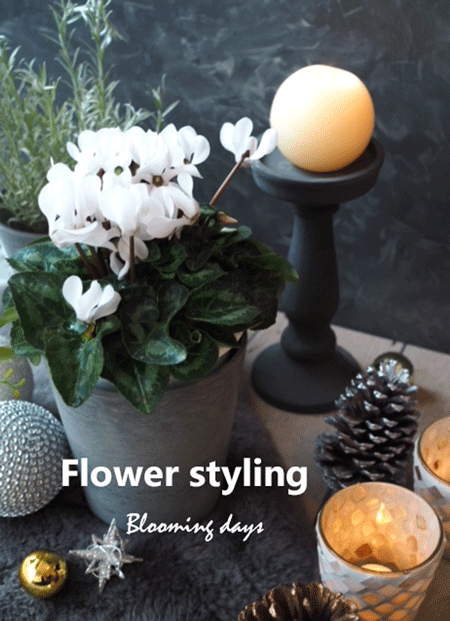 Flower styling 花のある暮し 小雪