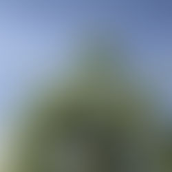 感染症対策にアロマを…