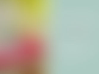 7月ベストランキング