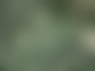 US Dollar Loses 98% of its Purchasing Power: What this Means for Consumers and Businesses