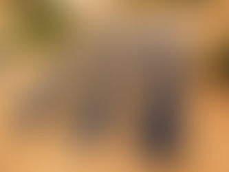 PARCERIAS IMPORTANTE PARA GERAR ENERGIA LIMPA E ECONOMIA