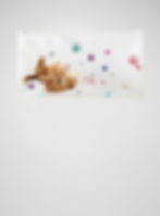 Cat and balls - printed on white pencil case with zipper