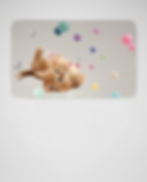Cat and balls - printed on taupe melamin kids plate    