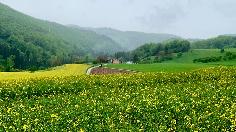 Hilly meadows in Canton Baselland