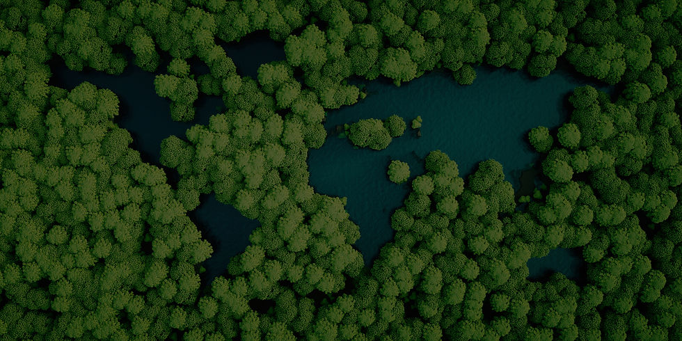 Trees_edited_edited.jpg