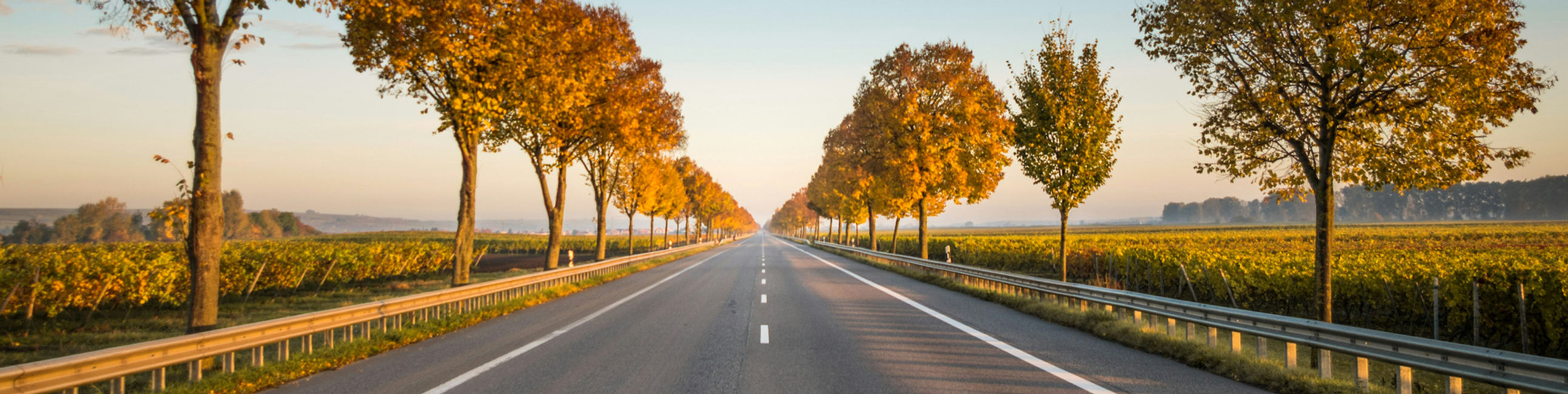 Strasse