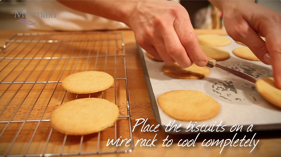 Behind the scenes of Hill Tribe Media’s Vanilla Biscuits Recipe video production — demonstrating professional food videography and timeless recipe video content