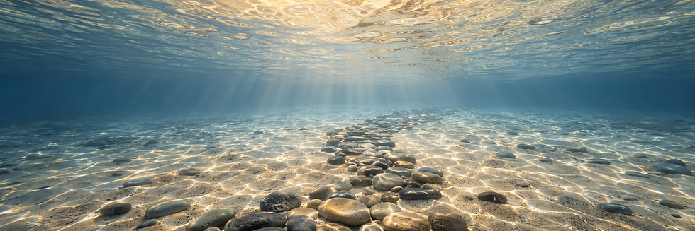 underwater view beneath shimmering surface.png