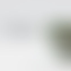 Confident - Feminine - Empowered