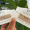 Thumbnail: Morse code / Cording Necklace / Anklet / Bracelet