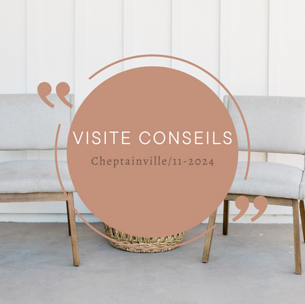 visite conseils, salon, salle à manger, particulier, décoratrice essonne