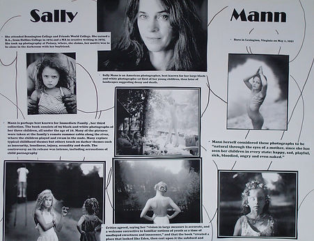 artist presentation_Mann.JPG