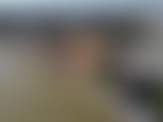 Valdés informó que el Puerto de Corrientes se encuentra operando con volúmenes máximos históricos y es clave para la exportación de maderas y cuero