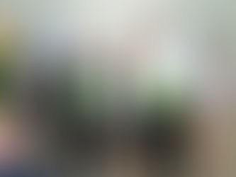 Presentaron un manual que propone una mirada integral de la historia de Corrientes en el siglo XX