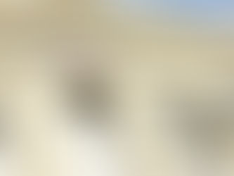 El ICAL atendió a 4.620 pacientes en el 2024