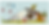 ERNA_Postkarte_Newsletter.png