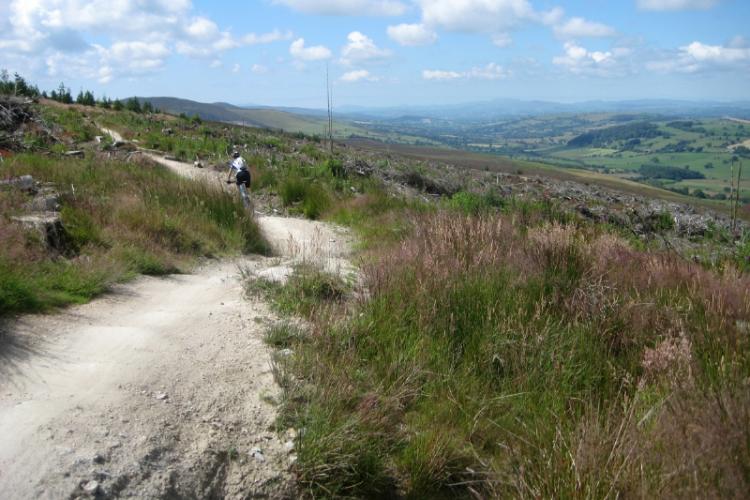 Llandegla