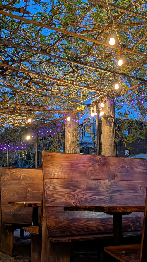 The wych patio evening outdoor dark wooden benches vine covered patio blue ski and string lights
