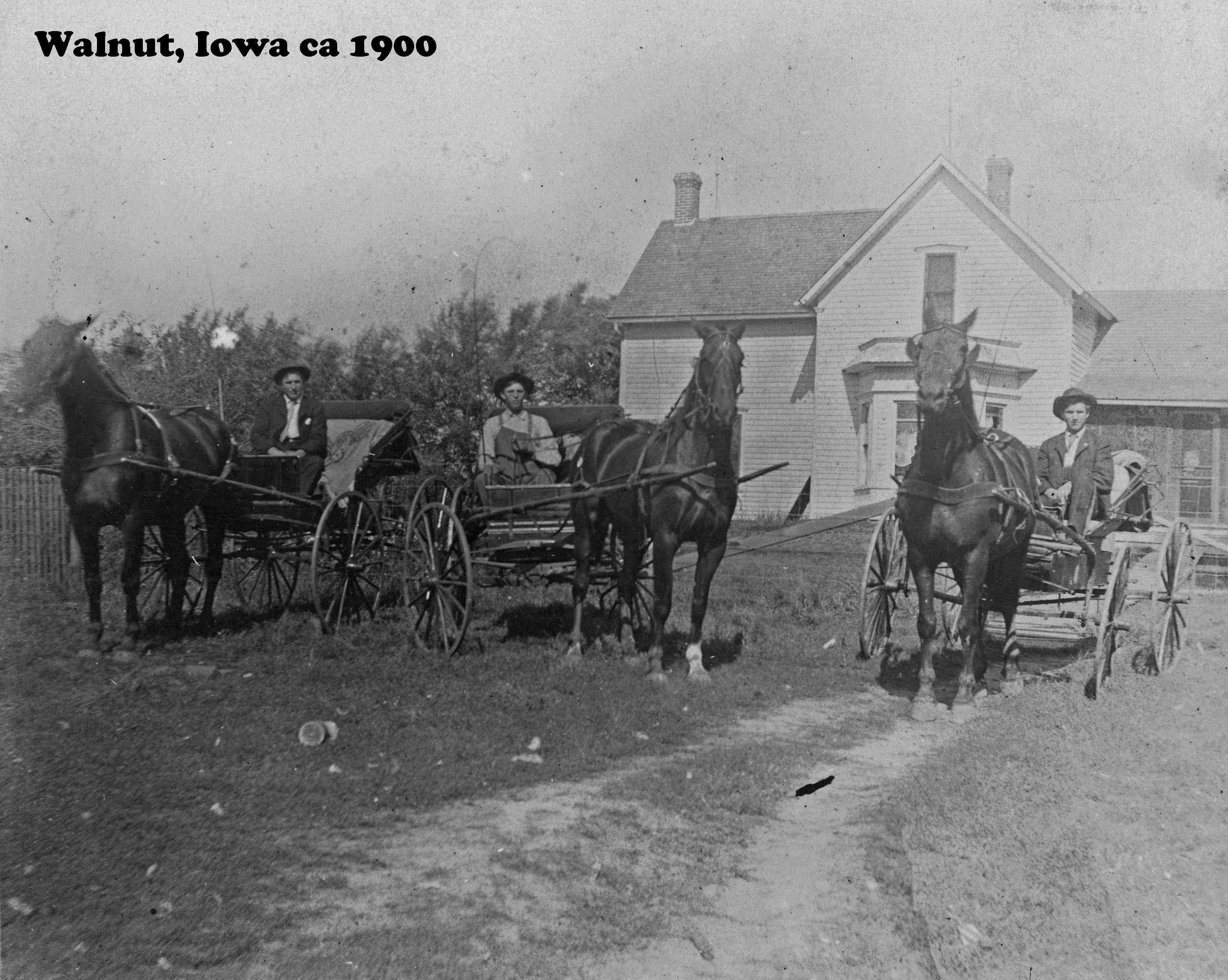 Walnut's History in Photographs