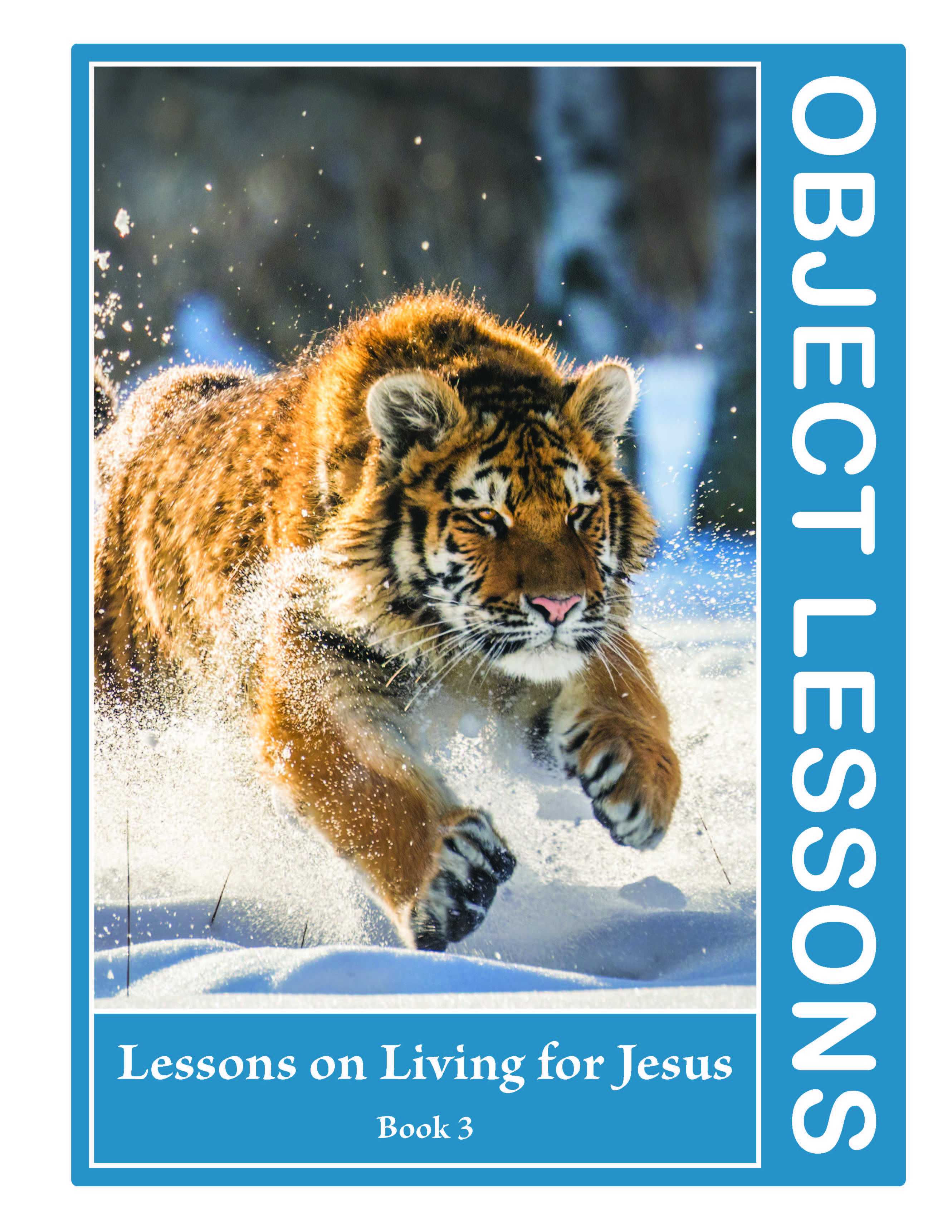 Object Lessons Spiralbound