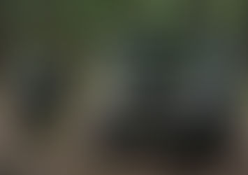 Kedarnath Bike Expedition – Ride to the Abode of Shiva