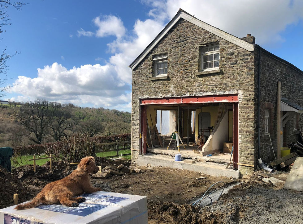 Bidlake #1_edited.jpg