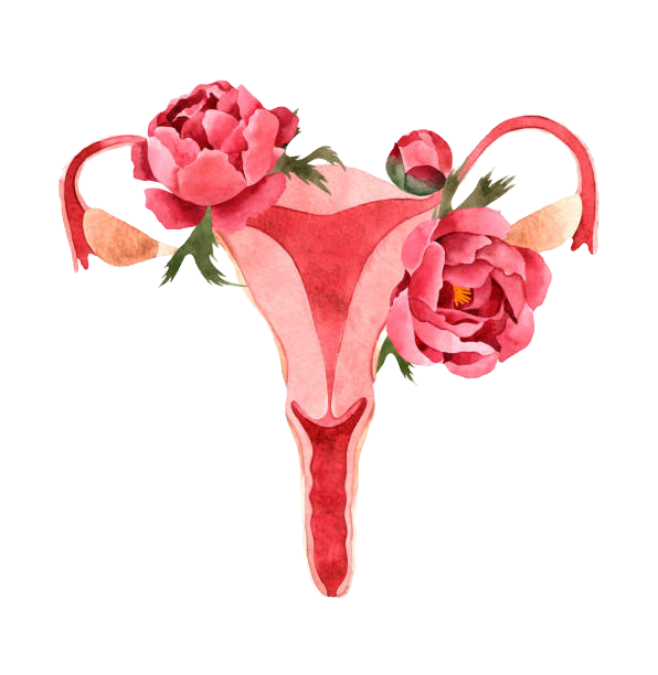Floral Womb
