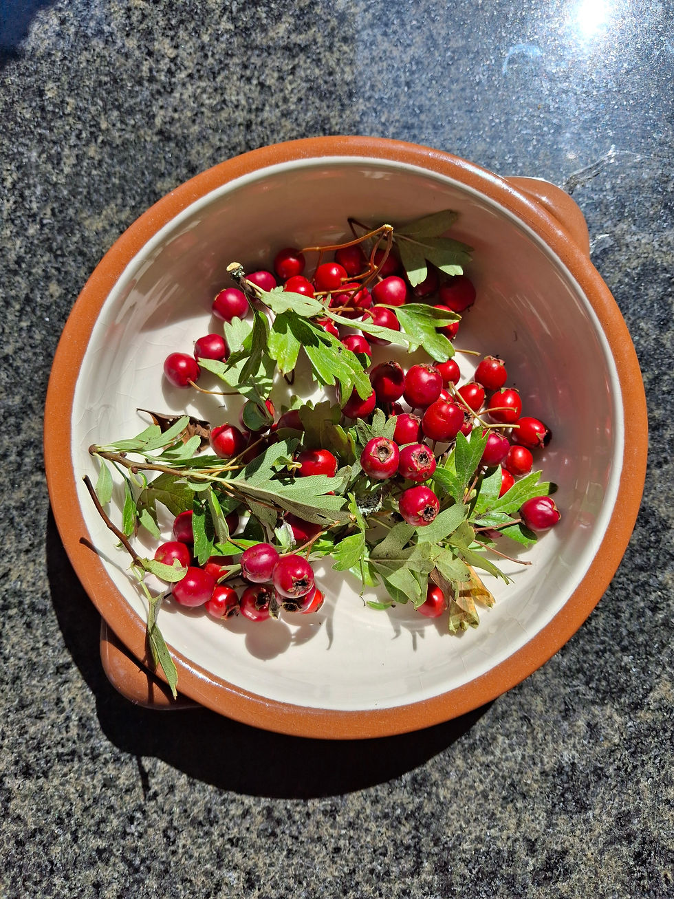 Reiki and Hawthorn meditation