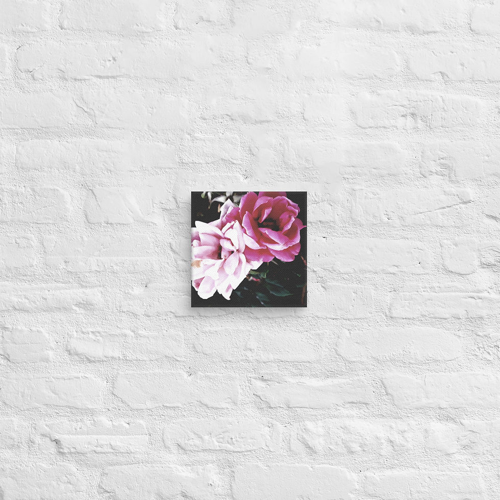 Thumbnail: Black Beauty Canvas 