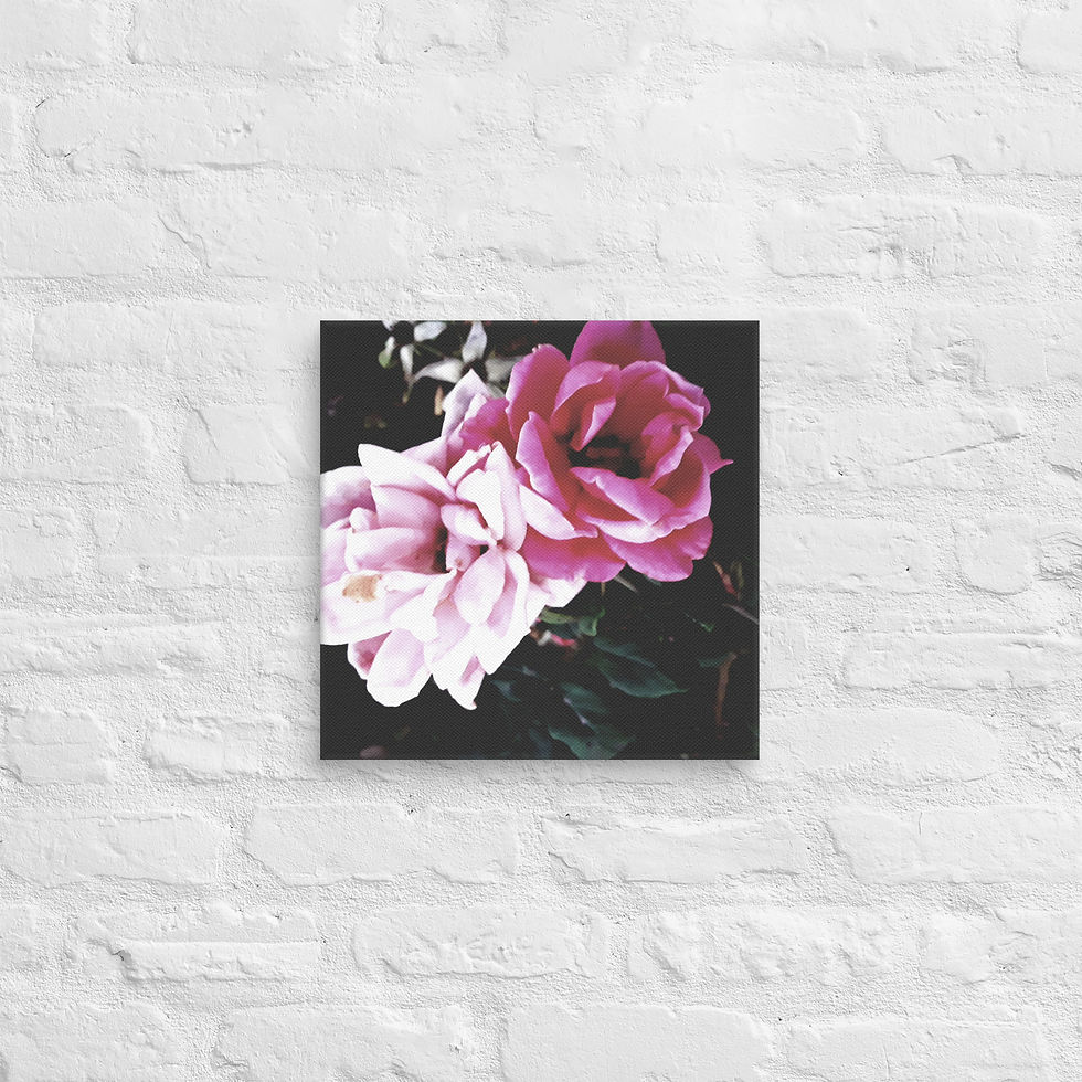 Thumbnail: Black Beauty Canvas 