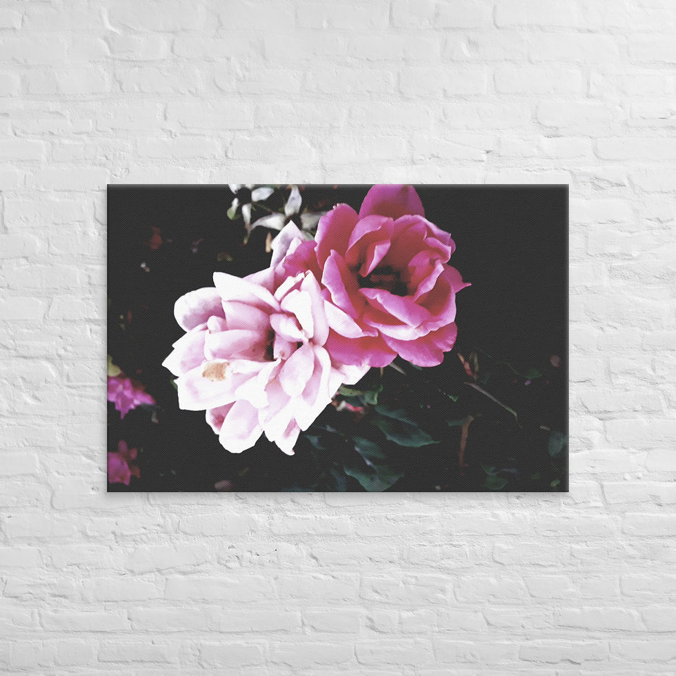 Thumbnail: Black Beauty Canvas 