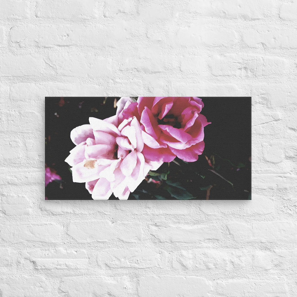 Thumbnail: Black Beauty Canvas 