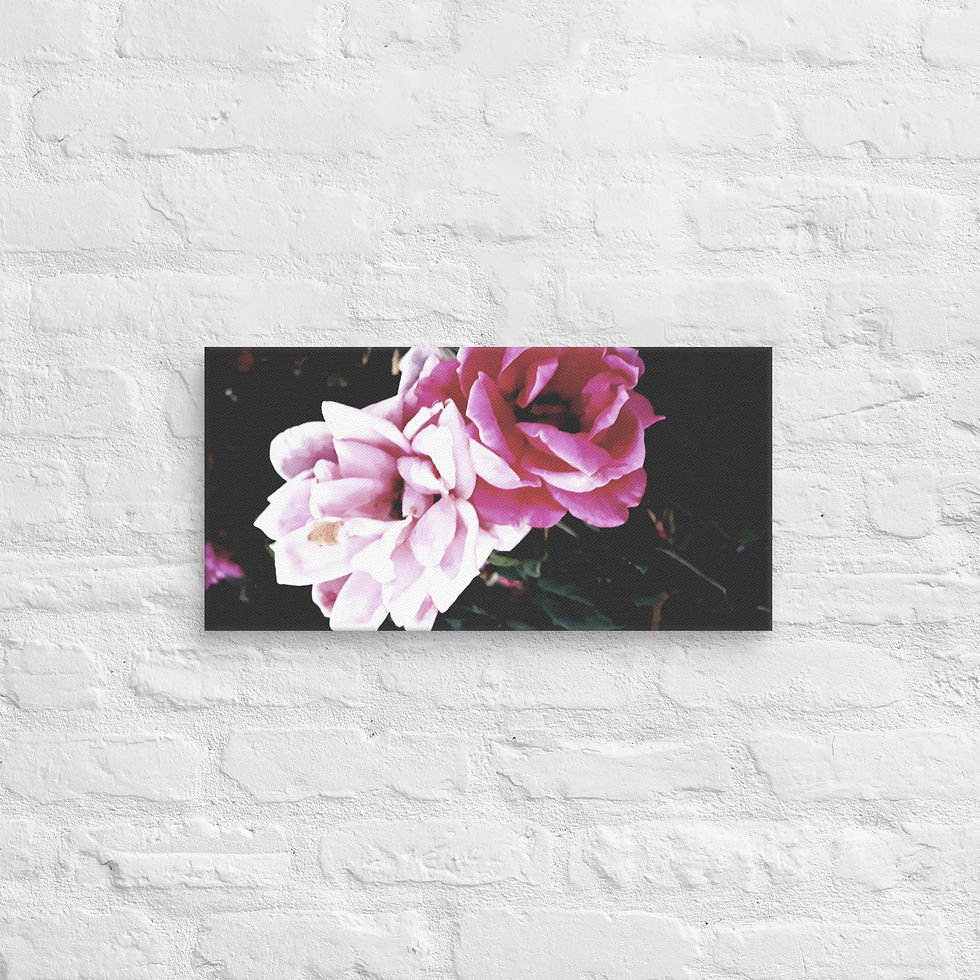 Thumbnail: Black Beauty Canvas 