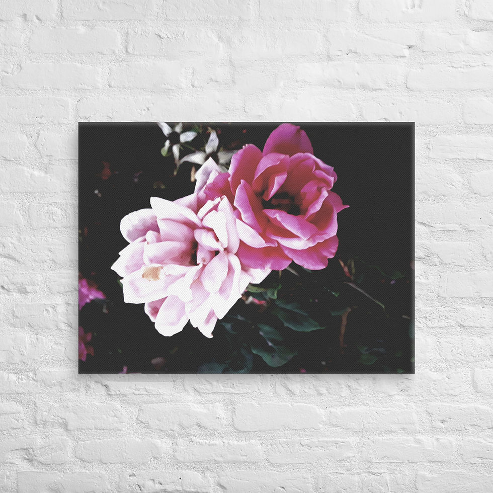Thumbnail: Black Beauty Canvas 
