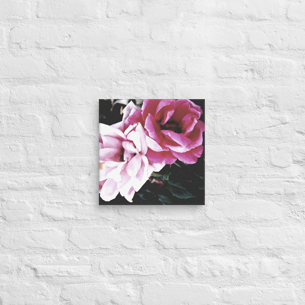 Thumbnail: Black Beauty Canvas 