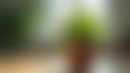 Creative Ideas to Inspire Your Next DIY Project