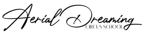 Aerial Dreaming Black -1.png