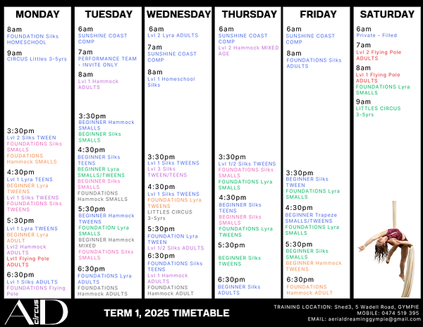 Term 1 2025 Aerial Dreaming Timetable-2.png