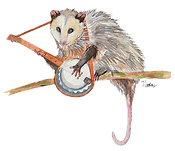 Banjo Opossom BEST PRINT_edited_edited.p