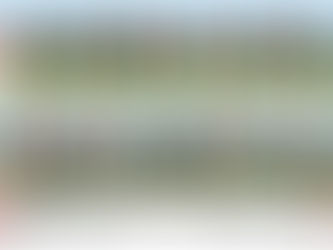 Barney's News on this weekends Majors