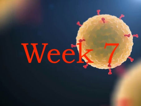 Week 7 of Coronavirus 'Staycation'