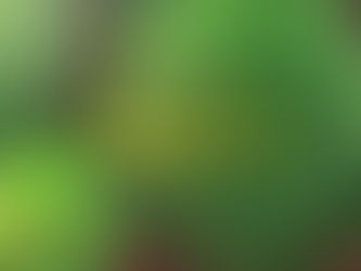 Week 6 of Coronavirus 'Staycation'