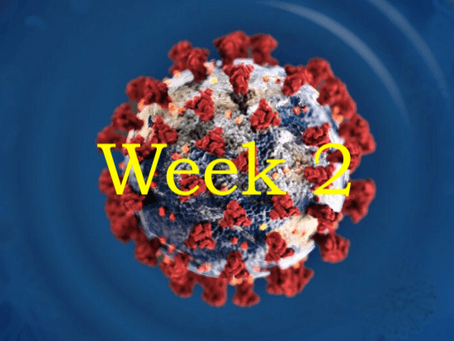 Week 2 of Coronavirus 'Staycation'