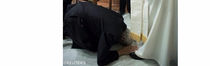 Padre Tom Uzhunnalil aliyetekwa nyara nchini Yemen 2016 ameachiwa huru