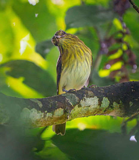 WhatsApp Image 2025-02-05 at 5.00.59 PM (1).jpeg