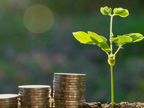 Incentivized Eco-restoration: Save Nature and Earn Money