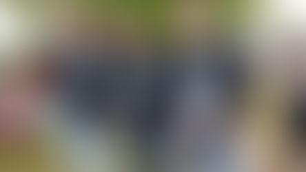 Festejos del Bicentenario