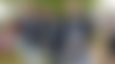 Festejos del Bicentenario