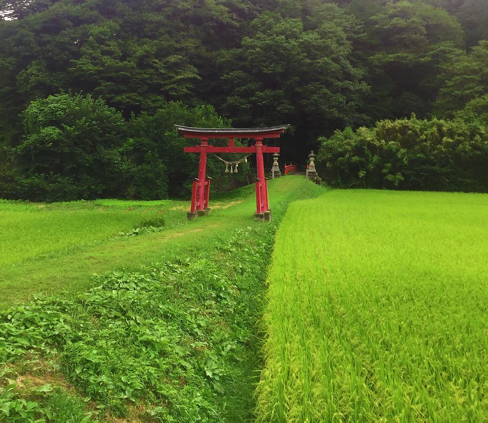 torii02.jpg